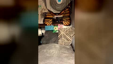 livpiper online show from May 5, 3:18 pm
