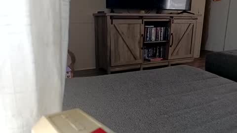 LjCherry online show from September 11, 5:03 pm