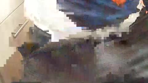 loboxavi online show from September 15, 1:56 pm