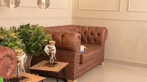 Snapshot of lollipop_rose_ chatting on October 14, 3:09 am Rose online show from October 14, 3:09 am