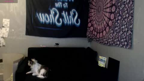 Snapshot of londonray chatting on October 8, 6:08 am londonray online show from October 8, 6:08 am