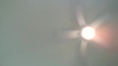 long1969dong online show from February 21, 2:17 am