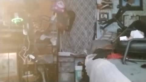 Mr. FogoDeChao online show from February 14, 1:19 am