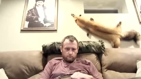 Snapshot of lotostepdad chatting on February 1, 2:47 am lotostepdad online show from February 1, 2:47 am