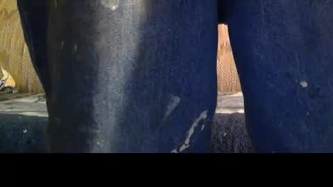 love69bush online show from February 8, 4:16 am