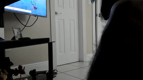 DarkGhost online show from October 24, 9:43 am