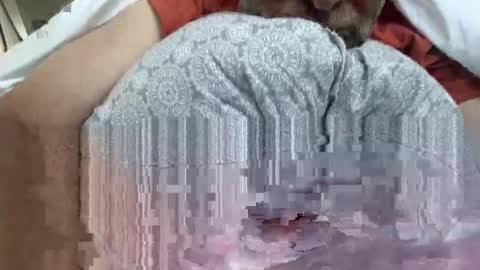 lqi online show from September 16, 11:01 am