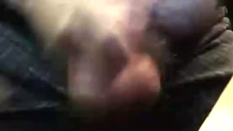 lukestarfckr online show from November 23, 8:40 pm