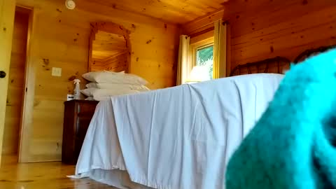 Snapshot of lulupixxx chatting on December 1, 5:48 pm Connie online show from December 1, 5:48 pm