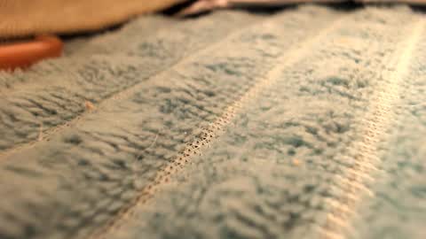 lunaafox online show from December 19, 7:09 pm