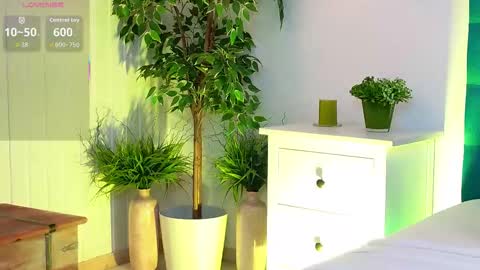 Luna online show from November 26, 6:10 am