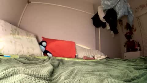 LOLA online show from February 19, 7:51 am