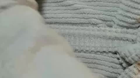 lustgardener67 online show from December 9, 6:03 pm