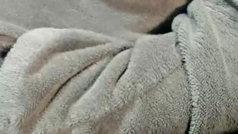 lustgardener67 online show from March 15, 9:02 am