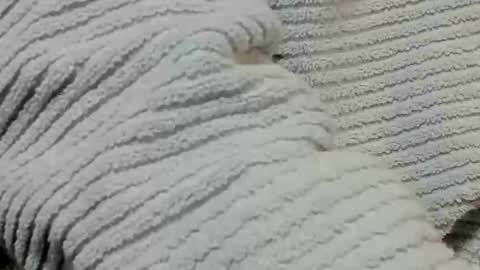 lustgardener67 online show from February 9, 7:15 am