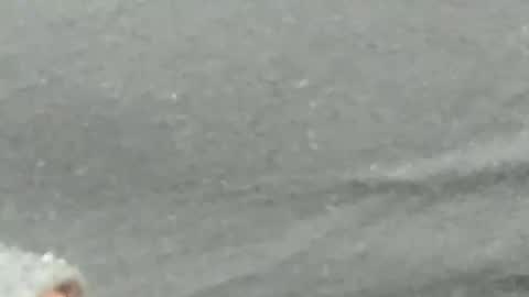 lustgardener67 online show from February 4, 9:28 am