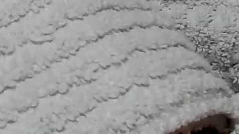 lustgardener67 online show from February 3, 7:21 pm