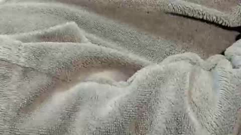 lustgardener67 online show from January 11, 7:58 am