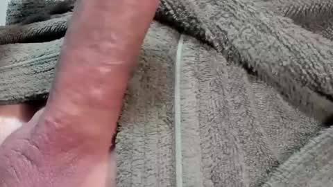 lustgardener67 online show from February 3, 7:46 am