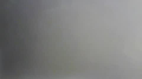 Bee Bee online show from February 7, 7:44 am