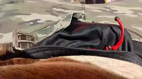 Lvac11 online show from January 6, 3:51 pm