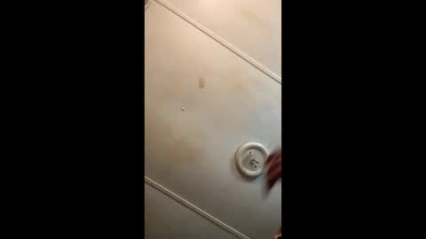 lydiasarch online show from April 4, 11:01 pm