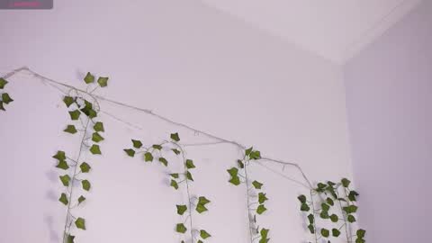 Lyly   online show from November 24, 5:39 am