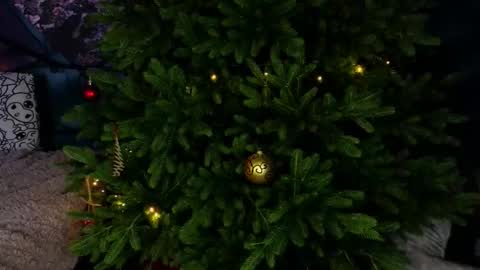 m1shq online show from January 16, 1:25 am