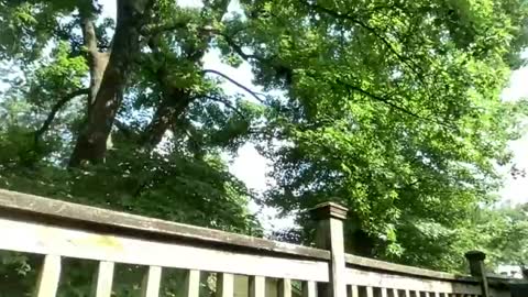 Marcus Black online show from July 7, 2:32 pm