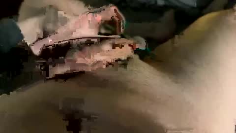 Maasssiv online show from March 2, 9:42 am