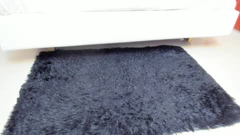 Madame Carla  online show from April 6, 12:06 pm