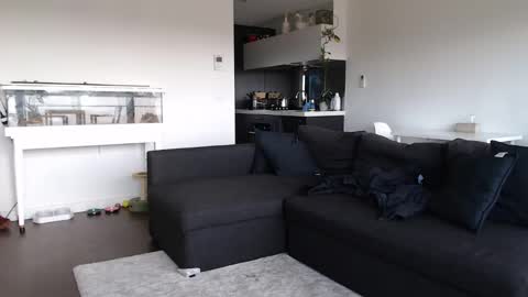 Snapshot of maddiemeekxo chatting on February 10, 2:19 am Maddie Meek  online show from February 10, 2:19 am