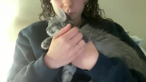 maddyhasyummypussy online show from December 17, 1:56 am