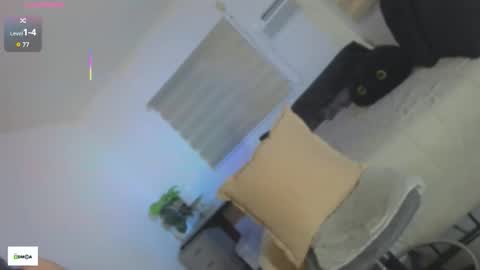 MAIA online show from December 15, 12:39 am