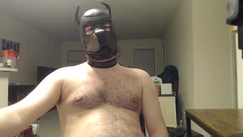 Major online show from November 24, 8:46 am