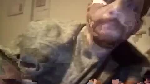 LANGERFICK online show from January 18, 7:38 am