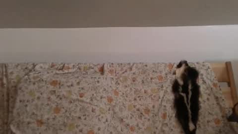 Margaux Green online show from February 25, 6:50 am