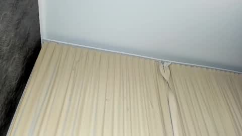 Marrie online show from November 9, 1:25 pm