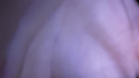 Maryland Man online show from December 9, 8:11 am