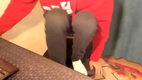 Silly Rabbit  online show from December 15, 8:15 pm