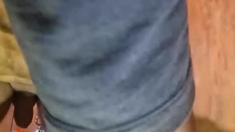 Bruh online show from September 28, 3:26 am