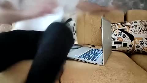 medivic online show from September 28, 7:12 pm