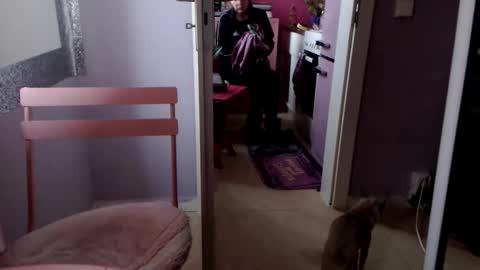 Snapshot of melli23 chatting on October 10, 2:56 pm Melli online show from October 10, 2:56 pm