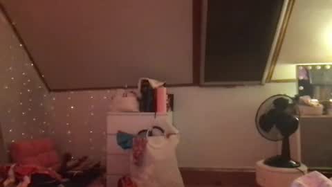 meridapricess online show from July 31, 1:17 am