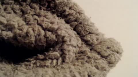 Mauro online show from February 1, 5:37 pm