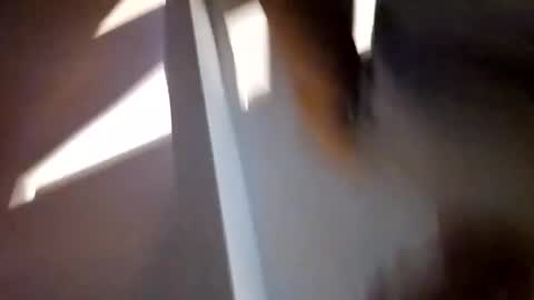 methorny online show from February 7, 6:45 am