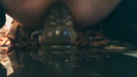 Bescior online show from October 5, 2:13 pm