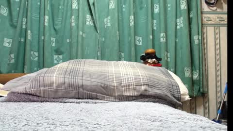 milfy72 online show from January 30, 10:41 pm