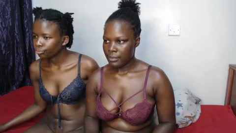 nova online show from April 15, 12:52 pm