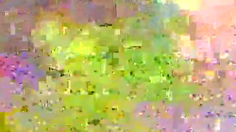 millhill17 online show from January 13, 12:40 am